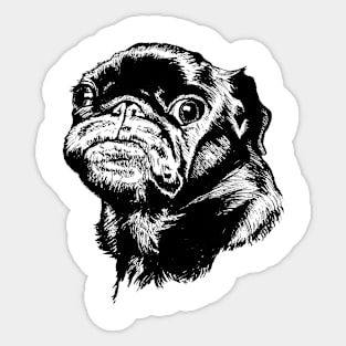 Glorious Pug Sticker